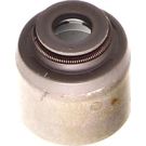 Dichtring Ventilschaft 70-10163-00