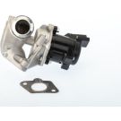 BorgWarner (Wahler) AGR-Ventil 710929D/1