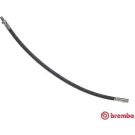 BREMBO Bremsschlauch T 50 067 ESSENTIAL LINE