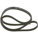 Keilrippenriemen KIA,HYUNDAI 1987948482