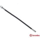 BREMBO Bremsschlauch T 50 002