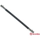 BREMBO Bremsschlauch T 83 129 ESSENTIAL LINE