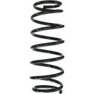 SPIDAN Fahrwerksfeder 49530