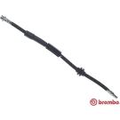 BREMBO Bremsschlauch T 24 150 ESSENTIAL LINE