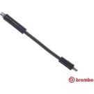 BREMBO Bremsschlauch T 06 049 ESSENTIAL LINE