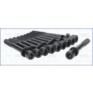 Zylinderkopfschraubensatz 81003100