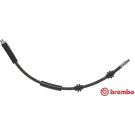 BREMBO Bremsschlauch T 06 030 ESSENTIAL LINE