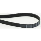 CONTINENTAL CTAM Keilrippenriemen 6PK2030