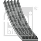 FEBI BILSTEIN Rillenriemen 28866