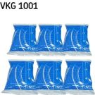 SKF Schmiermittel VKG1001