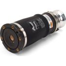 ARNOTT Fahrwerksfeder A-2869