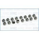 Dichtungssatz, Ventilschaft 57049900