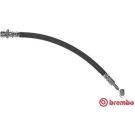 BREMBO Bremsschlauch T 83 094 ESSENTIAL LINE