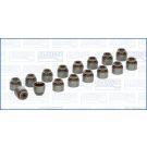 Dichtungssatz, Ventilschaft 57024800