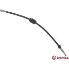BREMBO Bremsschlauch T 85 138 ESSENTIAL LINE