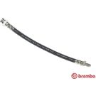 BREMBO Bremsschlauch T 23 043 ESSENTIAL LINE