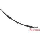 BREMBO Bremsschlauch T 11 016 ESSENTIAL LINE