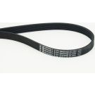CONTINENTAL CTAM Keilrippenriemen 6PK868 ELAST