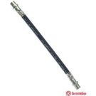 BREMBO Bremsschlauch T 85 036 ESSENTIAL LINE