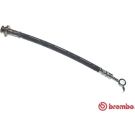 BREMBO Bremsschlauch T 56 162 ESSENTIAL LINE