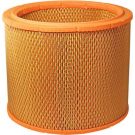 FILTRON Luftfilter AR 200/1