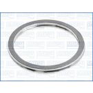 Dichtring, Abgasrohr 19004000