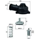 Integralthermostat mit Dichtung TI 244 83D