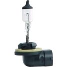 HELLA Glühlampe, Nebelscheinwerfer 8GH 008 991-031 STANDARD