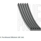 BluePrint Rillenriemen AD05R2030