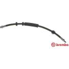 BREMBO Bremsschlauch T 24 125 ESSENTIAL LINE