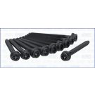 Zylinderkopfschraubensatz 81008700