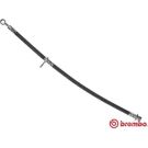 BREMBO Bremsschlauch T 28 090
