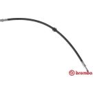 BREMBO Bremsschlauch T 50 061 ESSENTIAL LINE