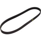 Keilrippenriemen AUDI,SEAT,SKODA,MINI,AUDI 1987946027