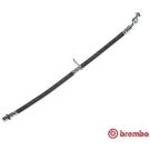BREMBO Bremsschlauch T 83 130 ESSENTIAL LINE