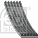 FEBI BILSTEIN Rillenriemen 39793