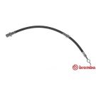 BREMBO Bremsschlauch T 10 008 ESSENTIAL LINE