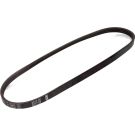 Keilrippenriemen FIAT Elastic 1987946133