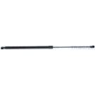 Gasfeder, Koffer-/Laderaum 871028300