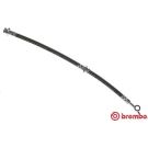 BREMBO Bremsschlauch T 56 149