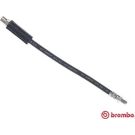 BREMBO Bremsschlauch T 85 069 ESSENTIAL LINE