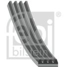 FEBI BILSTEIN Rillenriemen 28784