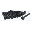 Zylinderkopfschraubensatz 81007600