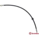 BREMBO Bremsschlauch T 06 046 ESSENTIAL LINE