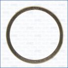 Dichtring, Abgasrohr 19005500