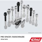 EIBACH M12x1,5x39 S1-1-12-50-39-17