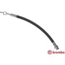 BREMBO Bremsschlauch T 49 053