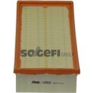 FRAM Luftfilter CA9932