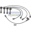 Zündleitungssatz IC-810
