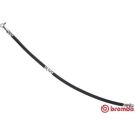 BREMBO Bremsschlauch T 56 174 ESSENTIAL LINE